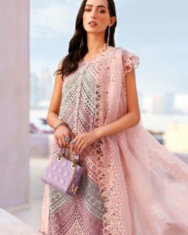 Timeless Classic Collection