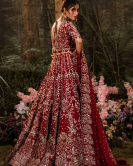 Embroidered Bridal Lehenga Choli